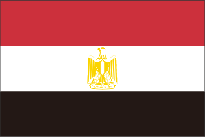 埃及药监局NORCB